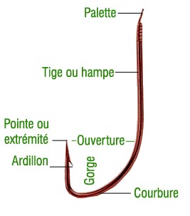  les parties d'un hameçon de pêche: palette,tige, courbure, ardillon et pointe 