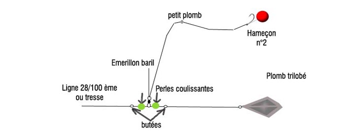 montage décollé: carpe en herbier, vase et fond difficile