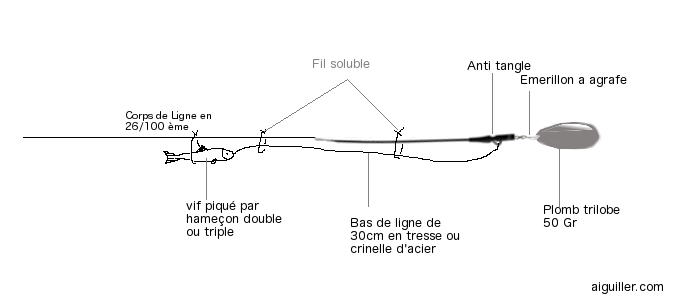 montage ligne sandre au vif