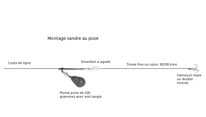 montage au sandre