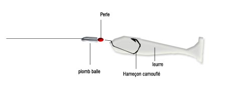 Tête plombée : comment faire un bon montage ? Pêche au leurre