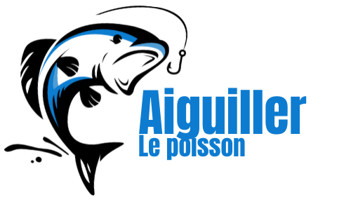 Aiguiller le Poisson