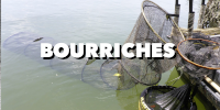 Bourriches de pêche