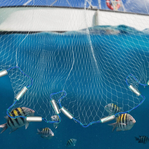 Filet épervier attrapant des poissons
